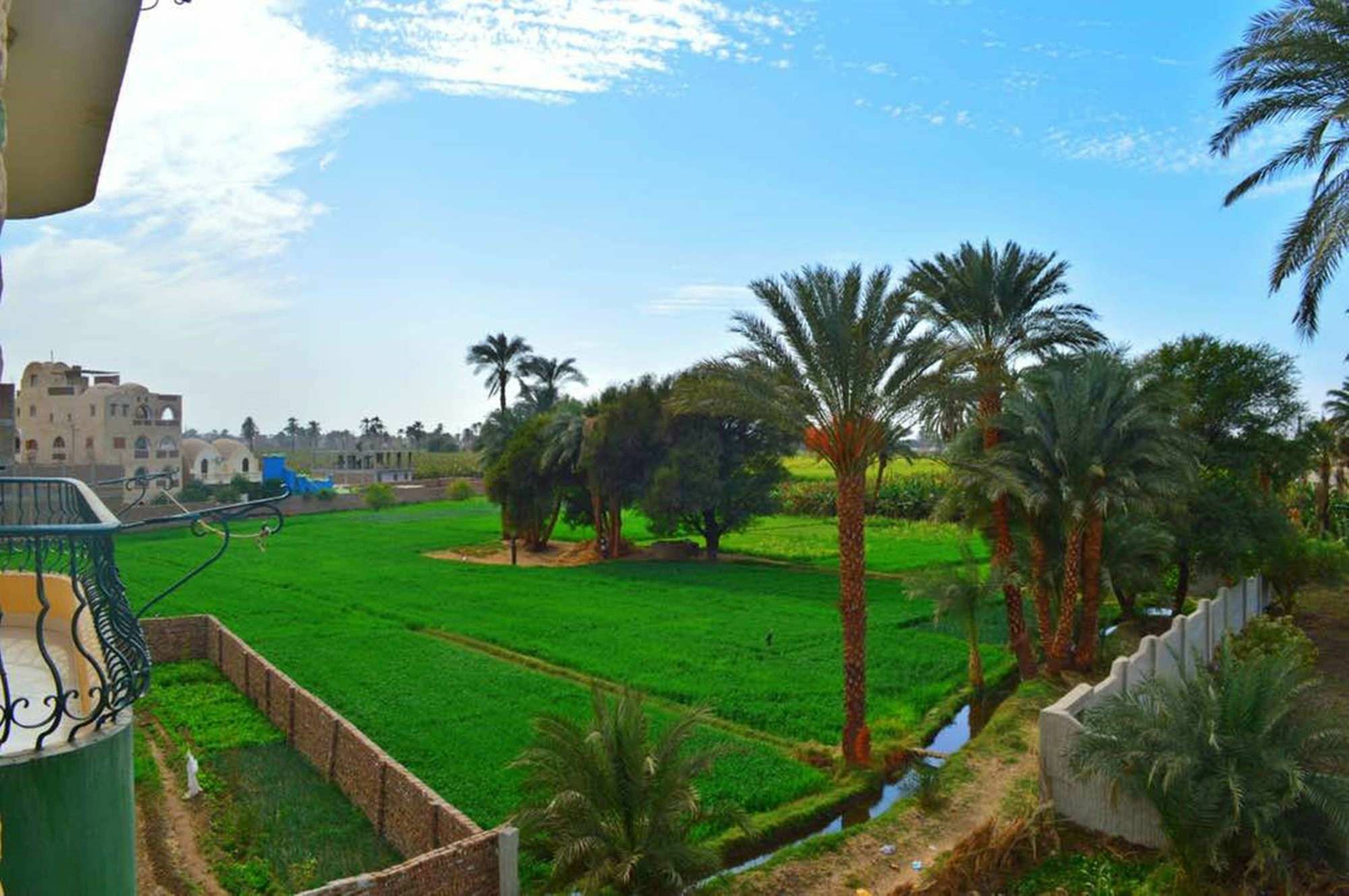 Farida Apartments Luxor Exterior foto