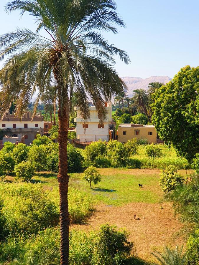Farida Apartments Luxor Exterior foto